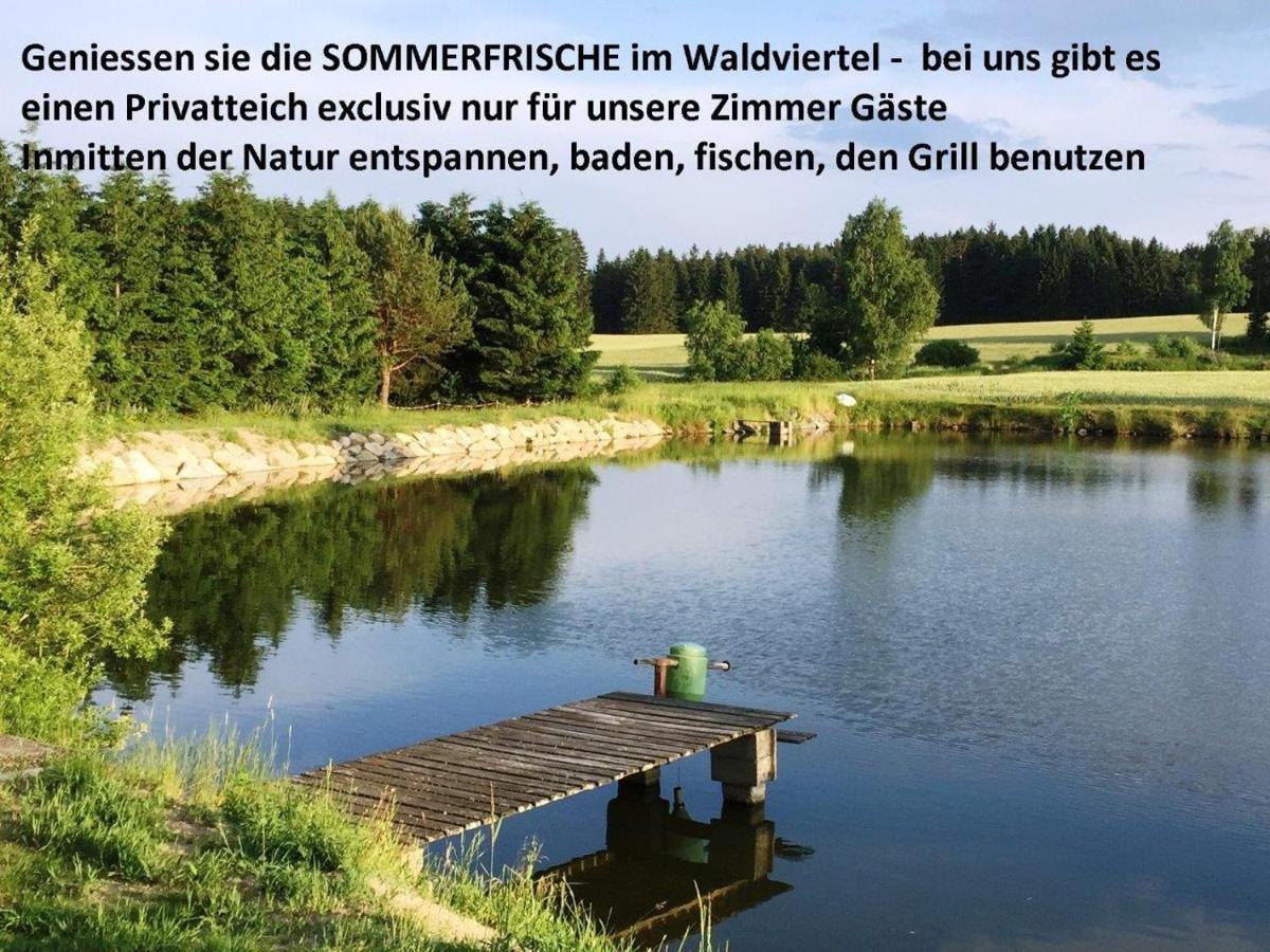 Sommerfrische Waldviertel Kirchberg am Walde 外观 照片
